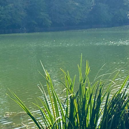 Lac De Lumiere. Relax With Rural Lakeside Living Herry Exterior photo